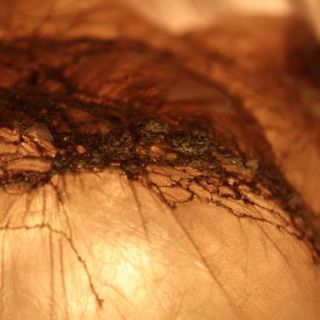 image: Hand-stitched head-covering (detail on translucent head cast with light inside) , 2012